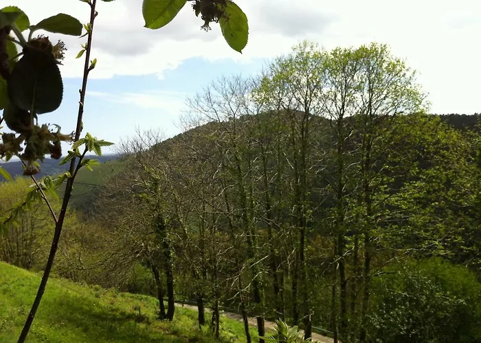 Сasa de vacaciones La Quintana De Somao, Casa De Arriba