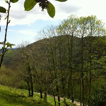 Feriehus La Quintana De Somao, Casa De Arriba